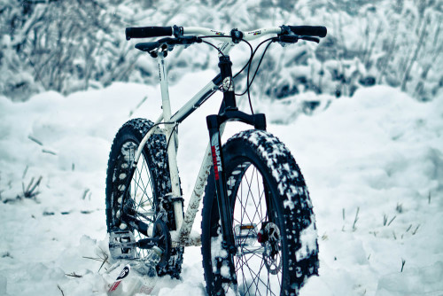 illusionsofinsight:  Fat tire winter, Michigan style - 616 Bicycle Fabrication