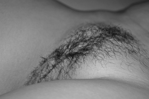 pierredu44:Gros plan