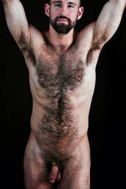 brüt with beard | hairy men galore