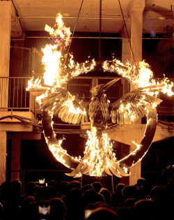 mockingjaysource:  The burning Mockingjay symbol during the ‘The Hunger Games: Mockingjay Part 1’ preview event at Kraftwerk Mitte on November 11, 2014 in Berlin, Germany 