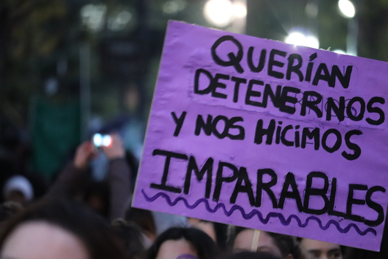 malibertedepenser:  Una del #NiUnaMenos de este año. La Plata, Buenos Aires.