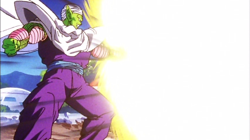 piccolo in real life