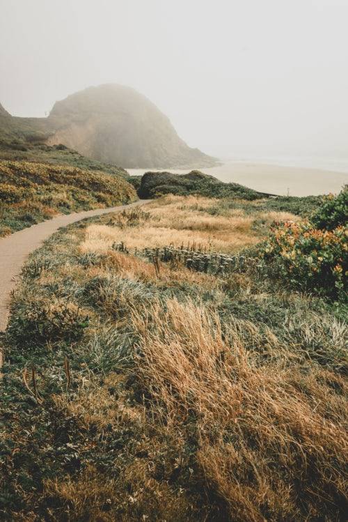 floralls:Bandon Beach, Oregon byClay Banks