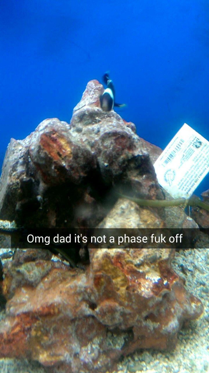 ugly-bread:  I went to a pet store today