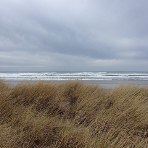 taurus-asc: beaches are prettiest in the gloom