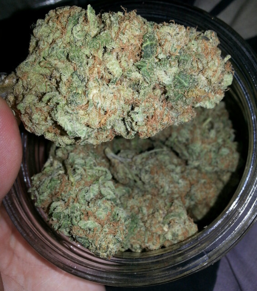marihuanalegal:  the-weedsleys:  oldie, still a goodie http://ift.tt/1zD1wHW