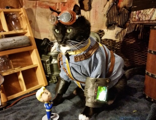 cat-cosplay:“War. War never changes… the litter box.”