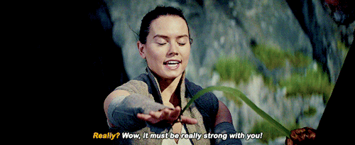 silver-tongues-blog: stream: Star Wars: The Last Jedi (2017) you know, a lot of people were pissed at how silly lukes training methods were but like, did they forget he learned from yoda? 