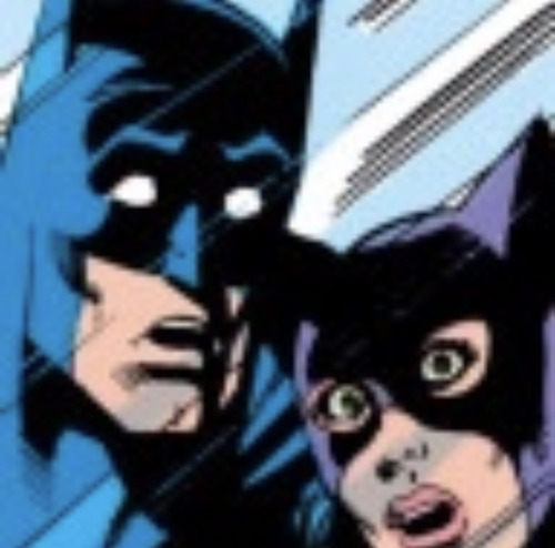 Live Batcat Reaction
