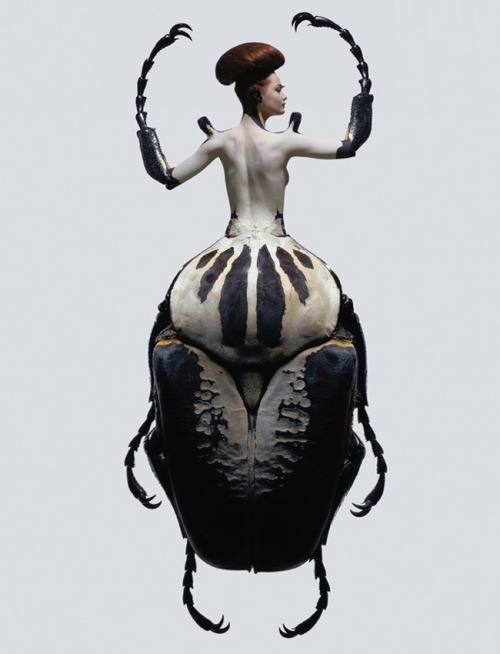 fer1972:  Insectes by Laurent Seroussi