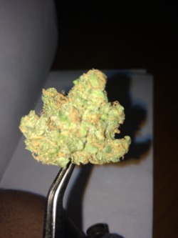 hellaroses:  Blue Hawaiian: Strong sativa. The nugs explode from the center like a star. Supz frostayy. Happy high. Loveeeee. Breaks easy, so be gentle doh. 4/5 stars.