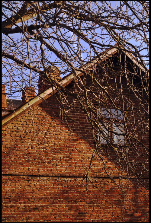 Kolomija (Kolomea), Ukraine, January 01, 2019 | Konica Minolta Dynax 5D | Industar-61L/Z 2.8/50.