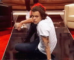 gay4zayn:  1D Day Footage 