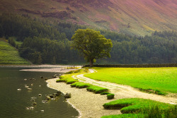 allthingseurope:  Cumbria, England (by Richard:Fraser)