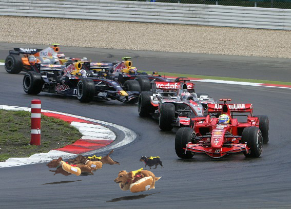 wwinterweb:    PS Battle: Sprinting dachshunds dressed as hot dogs (see 10 more)