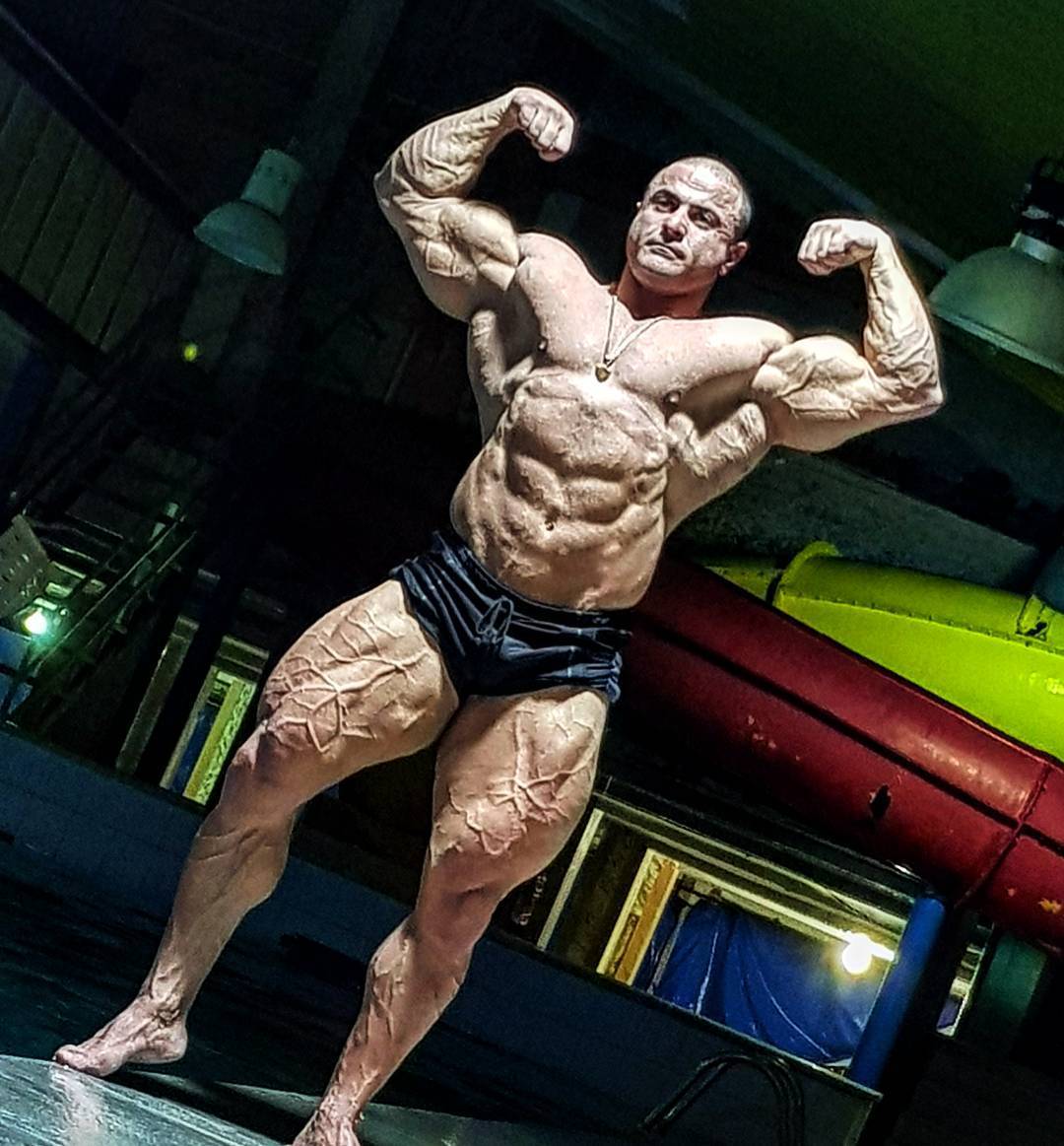   Jafar Ghafarnezhad  