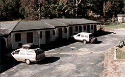 Were All Infected: A Teen Wolf Zombie AU