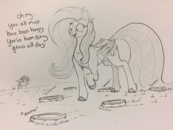 neronovasart: greyartpost: Fluttershy and her herd of Roombas, they collect grass for their mother. Thanks to @sins-art-place for the suggestion!  That’s just adorable   lol XD