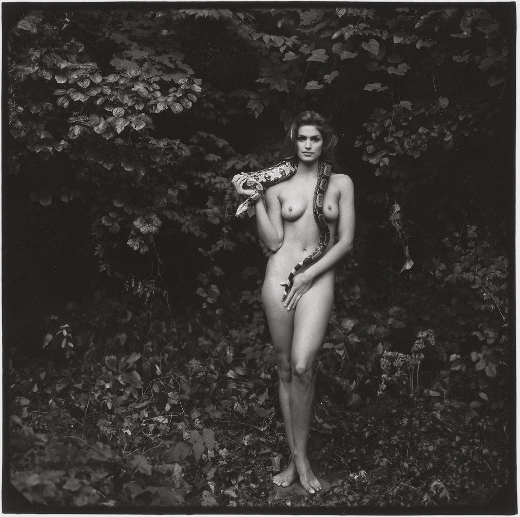  Annie Leibovitz, Cindy Crawford, Brookville, New York , 1993. 