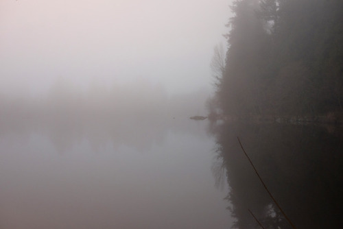 lost lagoon - fogstanley park, vancouver, bc