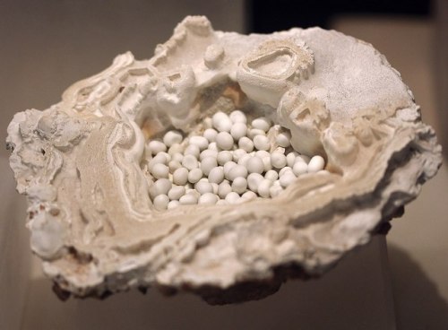 Birds nest aragoniteAlso known as cave pearls, these usually spherical concretions form like natural