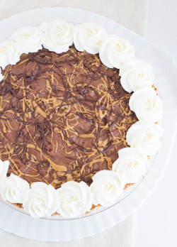 sweetoothgirl:  Dark Chocolate Peanut Butter Pie   Oh my