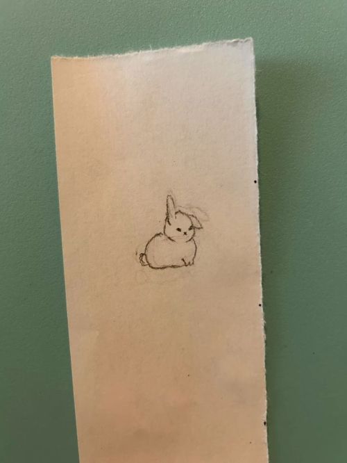I Would Like You All To See A Bunny That I Drew For Someone, Even Though I Am Not An Artist. His Name