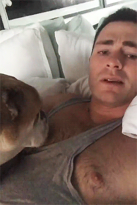 zacefronsbf:Colton Haynes on Instagram Stories