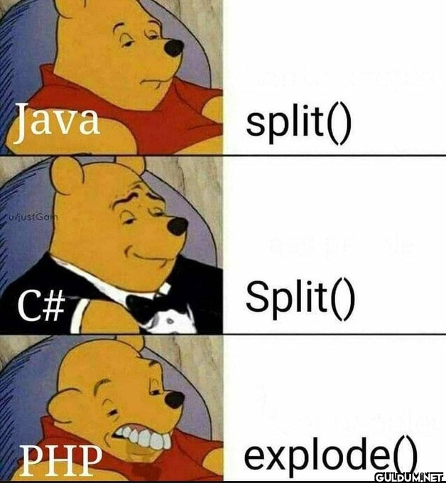 Java u/justGam C# PHP...