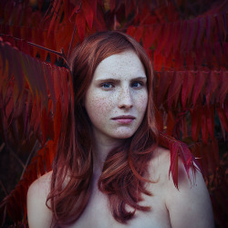 theseportraits:  The red collar by Michael Magin 