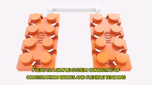sizvideos: Discover Flexo, bendable, bouncy, flexible building bricks. Get more information here