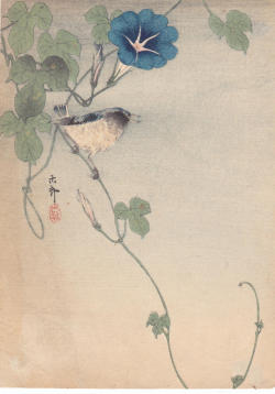 Hoodoothatvoodoo:  Ohara Koson &Amp;Lsquo;Finches And Morning Glory&Amp;Rsquo;