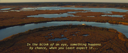 quotethatfilm:    The Lucky One (2012) 