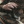 thislittletoad:oh, to be cuddling your significant other on a rainy day, hidden underneath