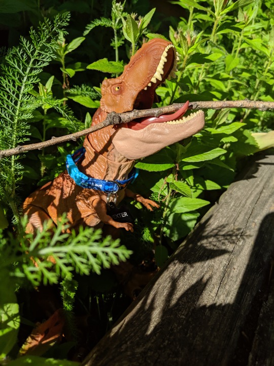 bunjywunjy:bunjywunjy:bunjywunjy:bunjywunjy:brain-cells-for-sale:bunjywunjy:bunjywunjy:nuggsmum:crochetninja:bunjywunjy:bunjywunjy:bunjywunjy:bunjywunjy:digitaldiscipline:bunjywunjy:bunjywunjy:bunjywunjy:bunjywunjy:bunjywunjy:I was walking through the