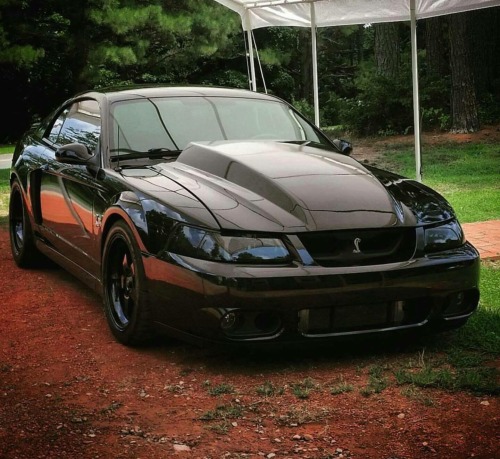 musclecars4ever:  Terminator