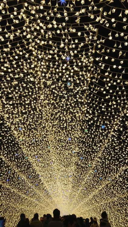 I went to see the lights✨
