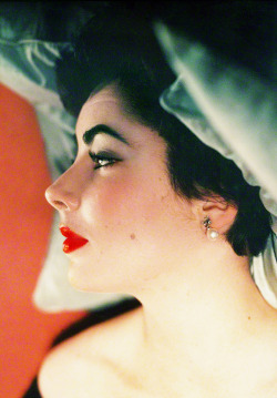 hollywoodlady:  Elizabeth Taylor by Norman