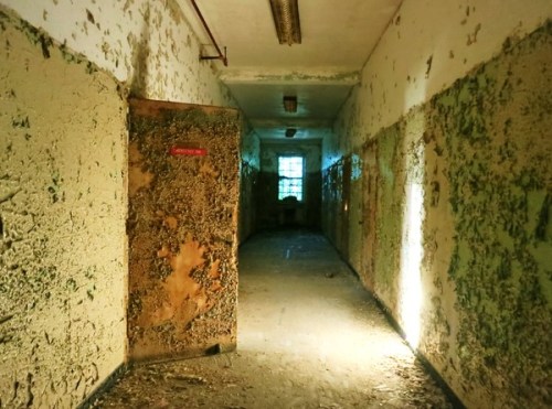 odditiesoflife:   Abandoned Building 25 at Creedmoor Psychiatric Center Located in Queens Village, New York, Building 25 at the Creedmoor Psychiatric Center has sat abandoned and rotting since 1974. While all of the other buildings of the facility were