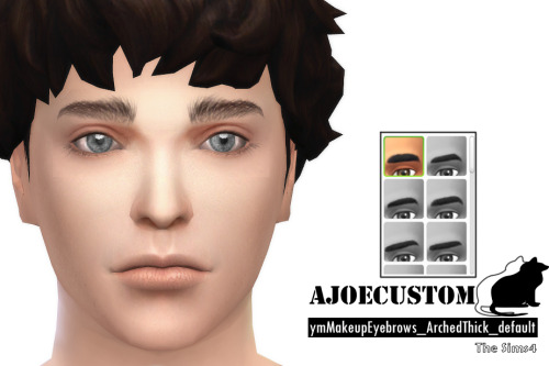 reikosim3:  ajoecustom:  [ajoecustom] ymMakeupEyebrows_ArchedThick_default Male / 18Color / default 