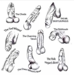 insayshhabul:  plotprincessss:  kuntybynature:  wh0isnerd:  vagabondaesthetics:  theblacksophisticate:  Which are YOU? 😎  The leaning tower of penis  Snuffle  👀👀👀  insayshhabul I dont think any of these are acceptable lol  I mean I’m fucking