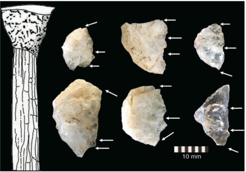 theolduvaigorge: Southern and East African Middle Stone Age: Geography and Culture by Sarah Wurz &am