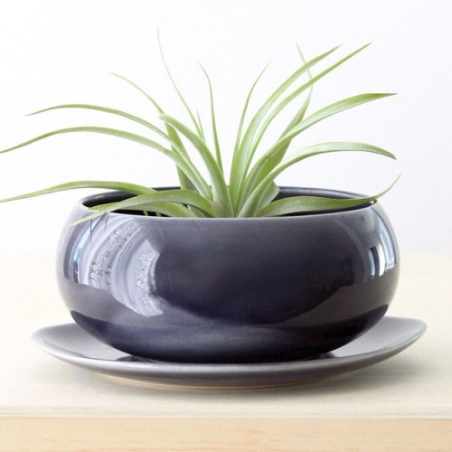 New 2 piece porcelain planter with a stunning smokey purple finish. The pot has a hole for drainage 