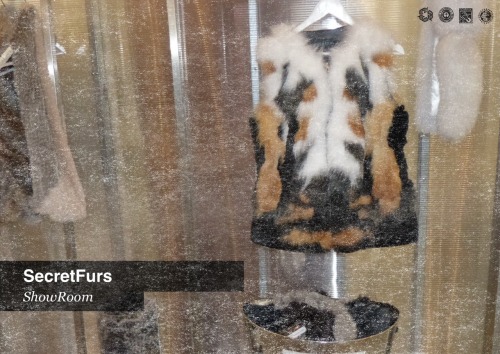 Secret Furs https://www.etsy.com/shop/SecretFurs?ref=si_shop The show time :)