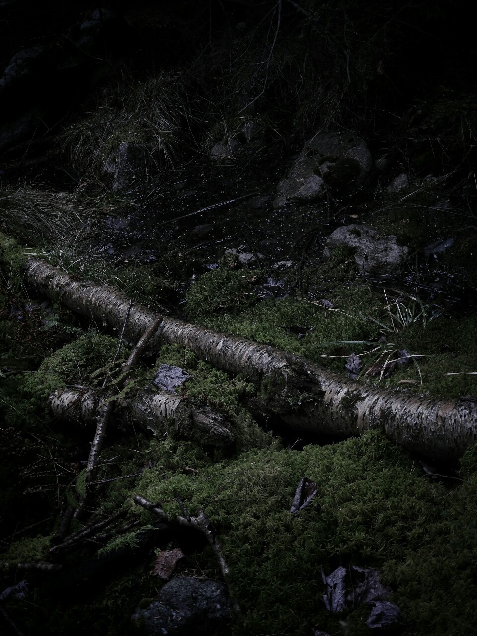 aetheric-aesthetic:  ••• 