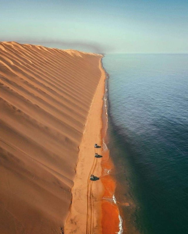 🔥 The old desert of Namibia, where the dunes meet the ocean #naturezem#nature#photography#naturephotography#naturelovers#art#photo#photographer