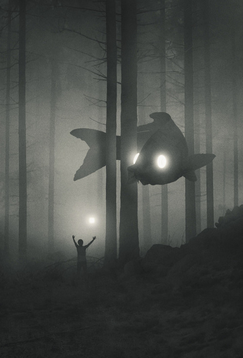 itscolossal: Explore Dawid Planeta’s Mystical World of Bright-Eyed Animal Guides