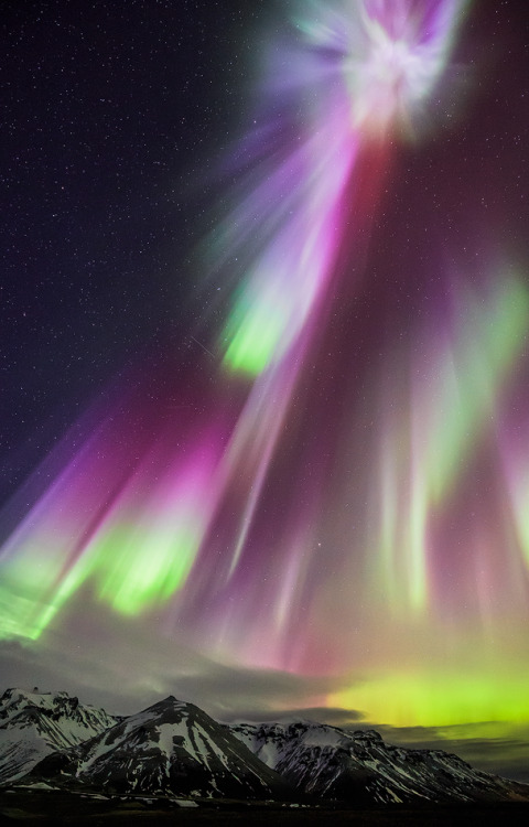 radivs:  Point of Origin by Matthew Kocin 