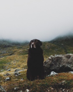 eartheld:  afuraki:  scafell  mostly nature