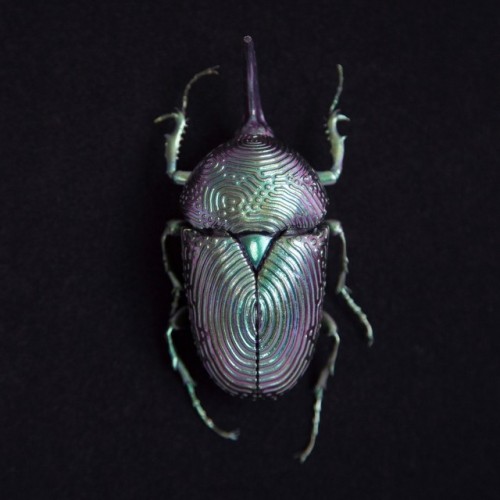 culturenlifestyle: Luminescent Beetle Sculptures by Nazomi Paris based artist Nazomi C has undertake
